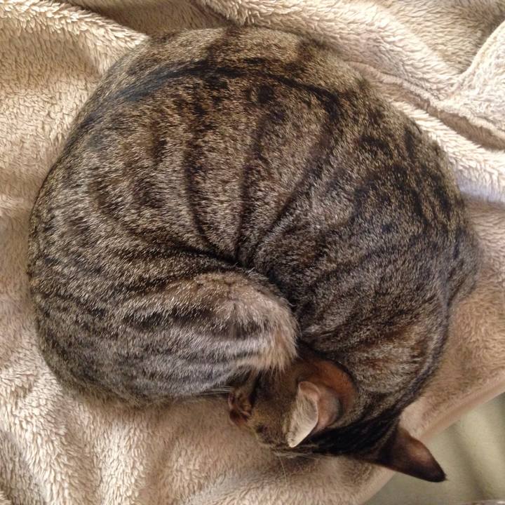 C221fc28 e90a 4863 b320 1ec5127df6c9 1509164735381