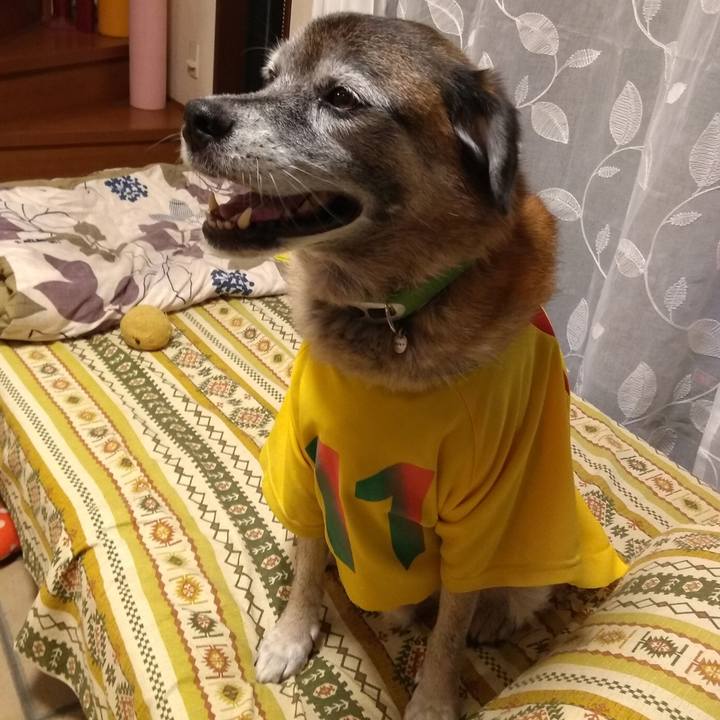 C2220dec 4bb8 46ae 93e7 f4469cabc855 1568802794988