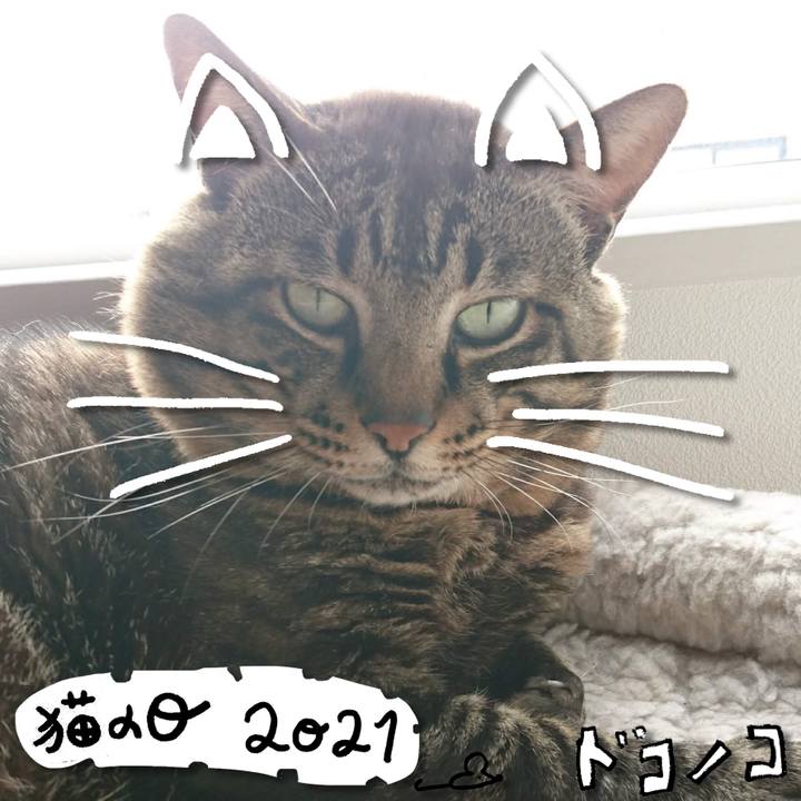 C222151b 0f0e 425a bad1 5e484242772e 1613995497280