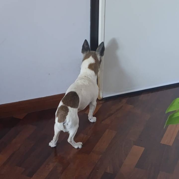 C22228b0 ebed 4921 9089 51d8a0ff529b 1760961965392