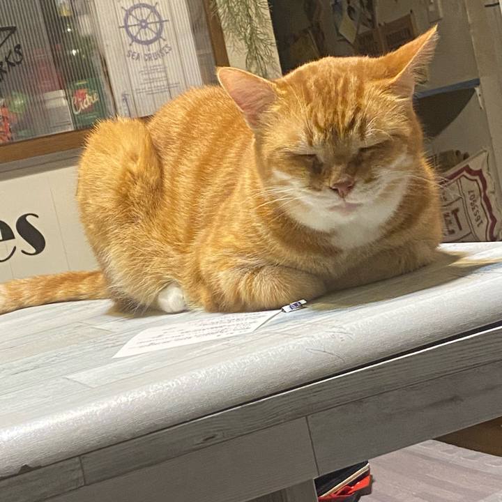 C222da24 9933 49a8 834b ff59e90decc1 1621253822119