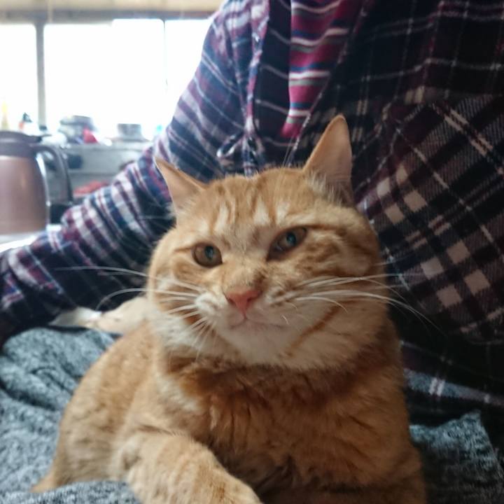 C2231abb 9164 4e72 87e0 318d9d553ce2 1650489495756