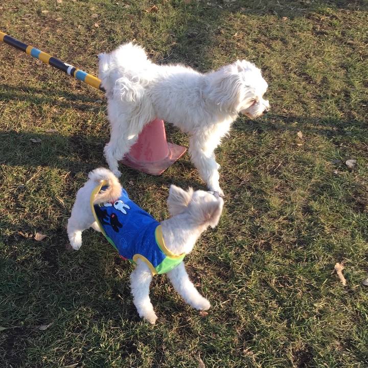 C223391d d851 4c00 9e1e 5256f4646ee9 1514024389726