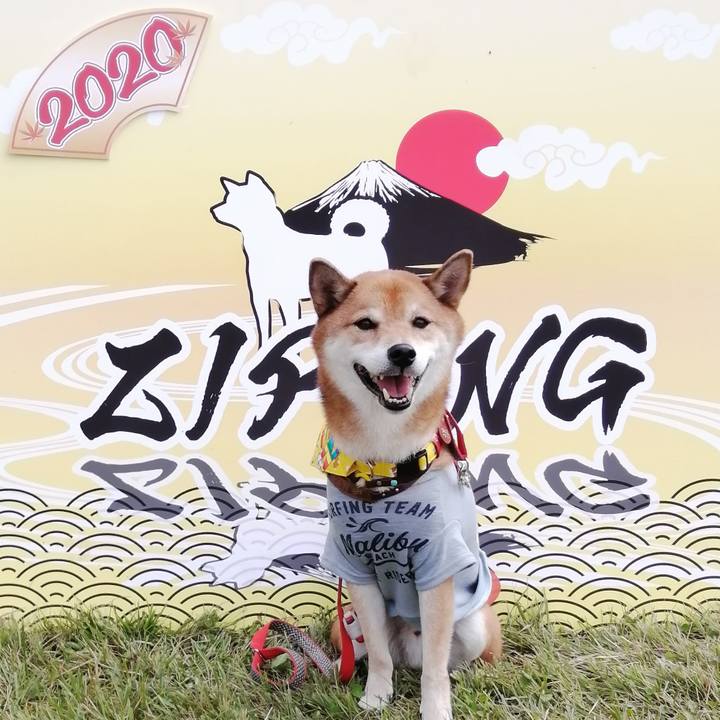 C2235c89 d28c 40de 8e4c 34e9c7b8af4a 1602423071061