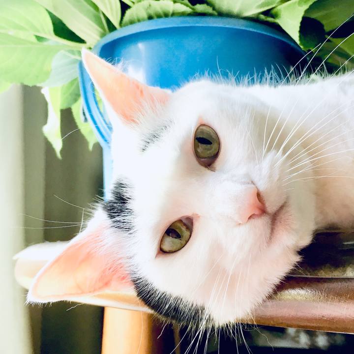 C2236182 2552 4f9d 846c 80a09af79c44 1562122761809