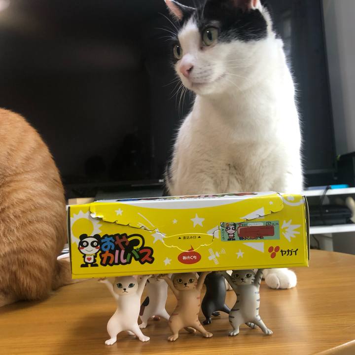 C2236d06 a3d4 45dd 83a9 d66dfa53533d 1588483770882