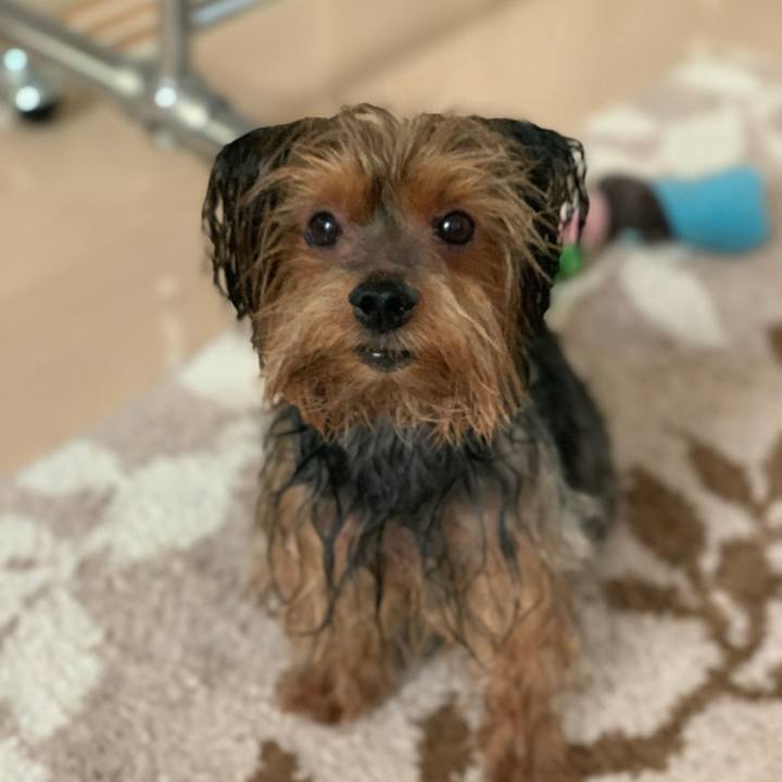 C223a38a 5a6b 4ae4 99f3 0d68ada793a0 1569999745960