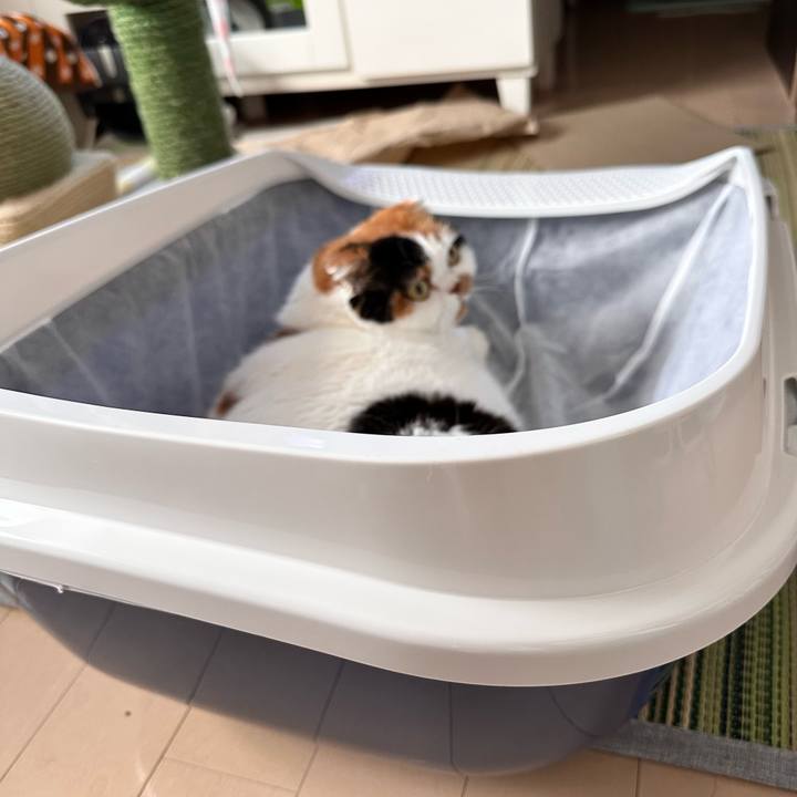 C223bccc e05a 4abc 90fc da05713ba413 1690181905299