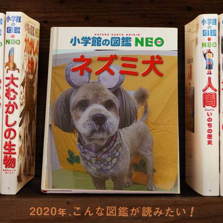 C223c2bd 39c5 4d57 9d23 8fabba2bd8bb 1578289828088