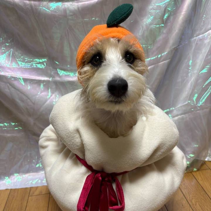 C223eea2 d624 4582 955e c1ef70eaf1c3 1767310854720