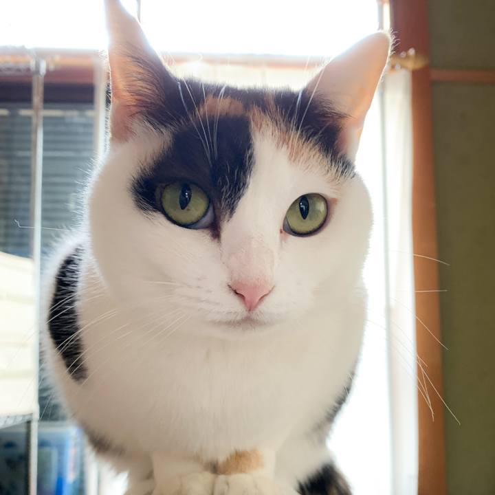 C2245216 4801 484e ab96 38af5014eab2 1582163343546