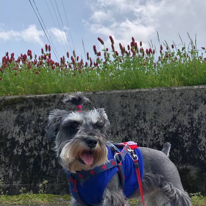 C224573c 2a9f 4918 9df1 4a28d27a2bbf 1620552033450