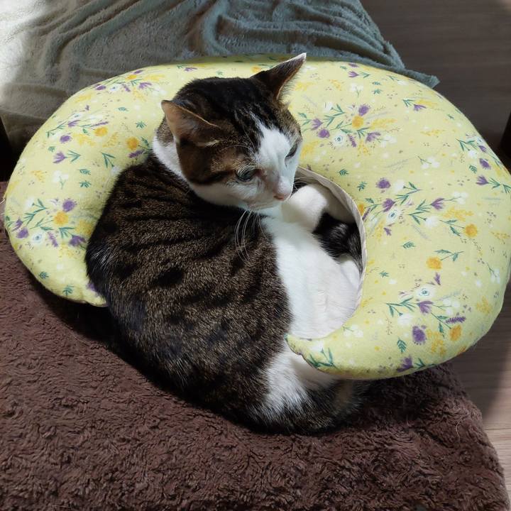 C2245f51 d058 4f91 8876 66ab1e51ec59 1770506310737