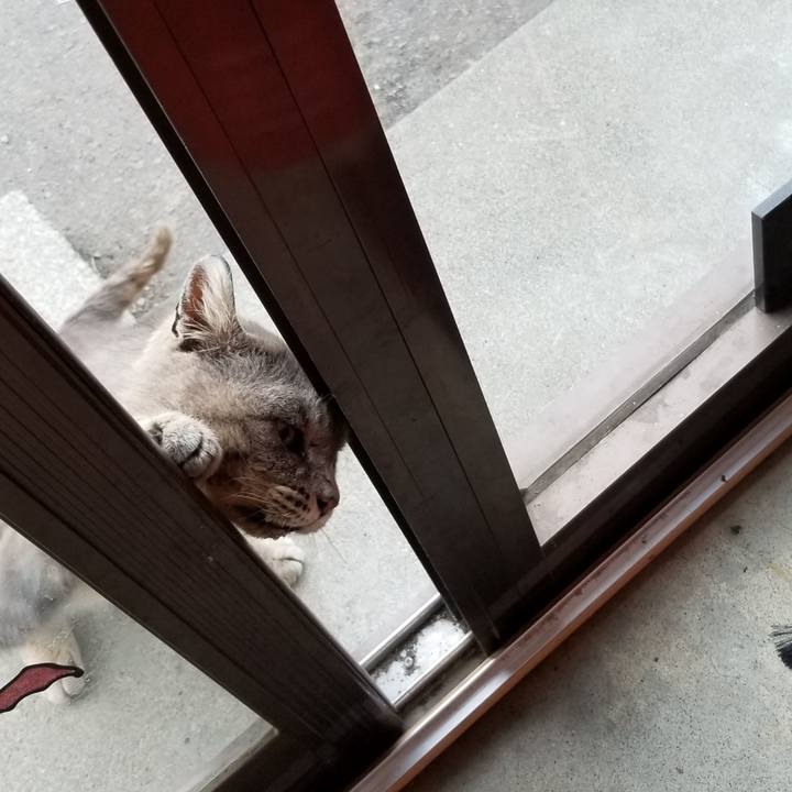 C2248cdc 8a02 4bee 8d17 ae3377c159d5 1526722114177