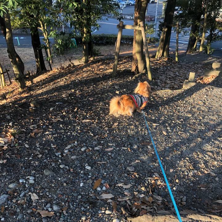 C22493b6 ab9b 4843 b24a 89caccbdaed0 1546734643989