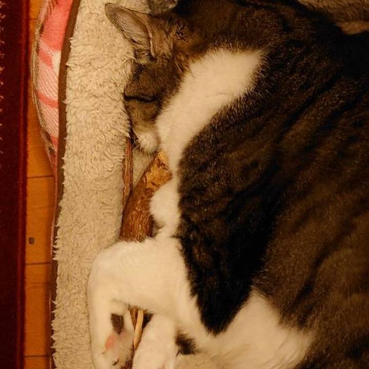 C224ae97 1953 4b01 9b55 2f334705ac1e 1698020494326