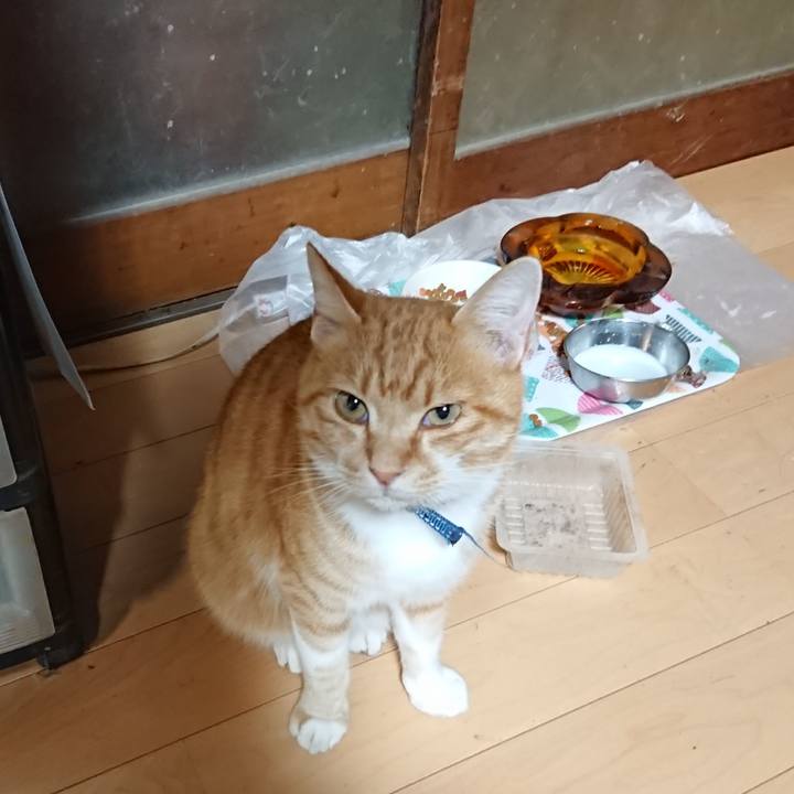 C224c225 cca4 494e bb03 b4f6ac9ac5c5 1604053037980