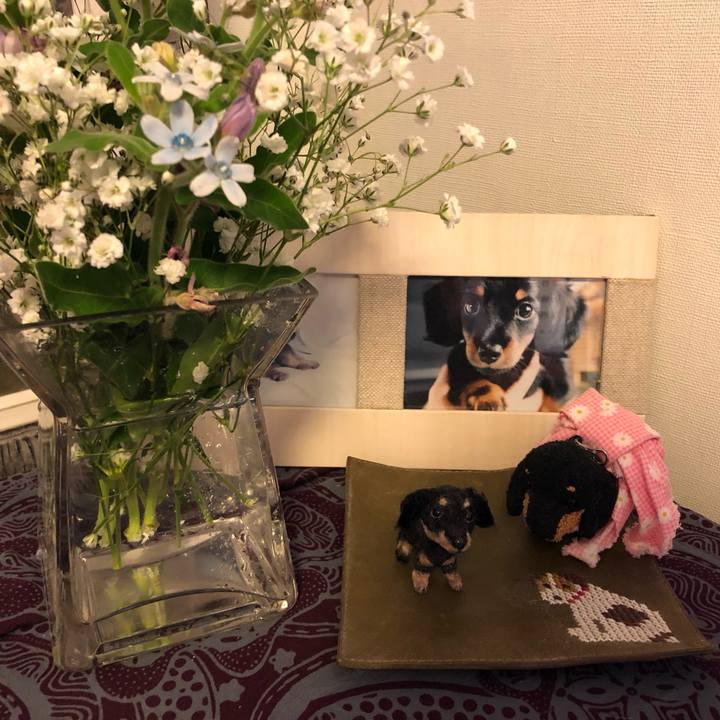 C224e062 7787 47ac 8abe 2da117568ab1 1552922746129