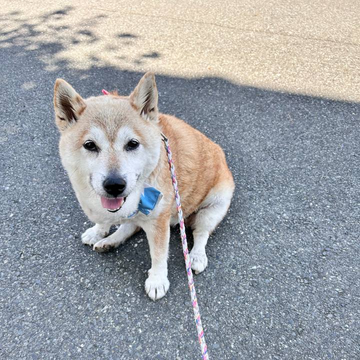 C224fa7a 2c13 45cc a856 f437db9a095f 1750553622727