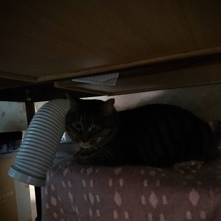 C224fbd1 838e 4375 baf4 fb381138c392 1643058156153