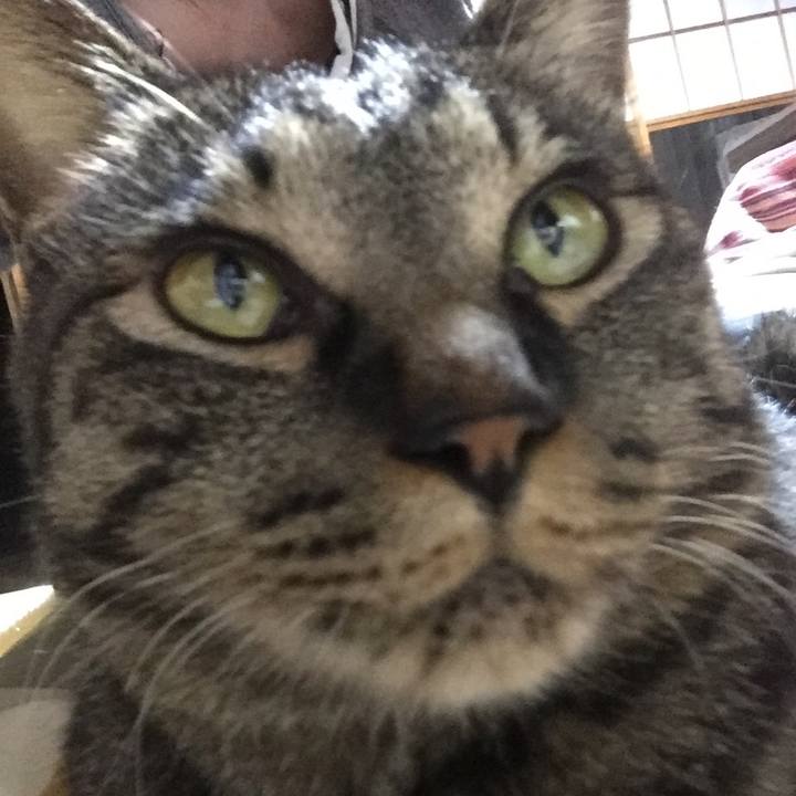 C22507d3 c079 4774 b48d ec260bfb2a62 1523531566537