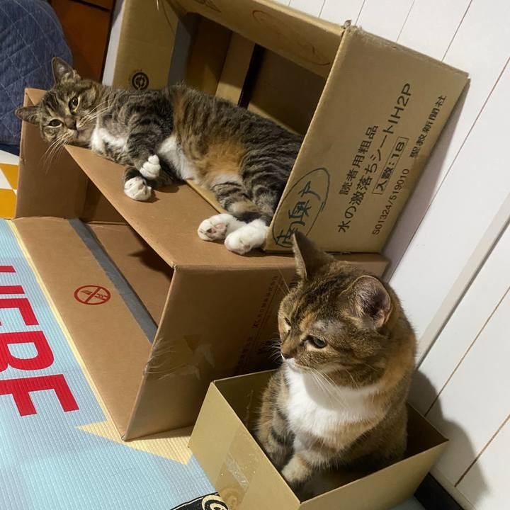 C2252d42 ef26 4ba0 9de2 6560f12be884 1722292977134