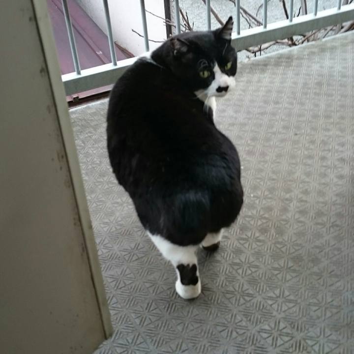 C22569f3 5f13 4de4 a7ff 7a47c53bd98d 1521764492798