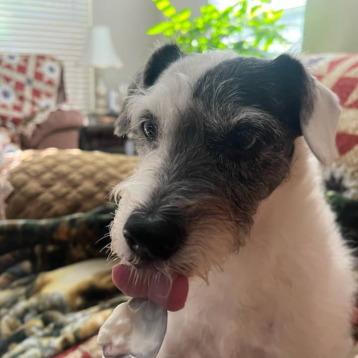 C225f7ce 1b92 491b 8780 0b28c4a1895f 1666305222881