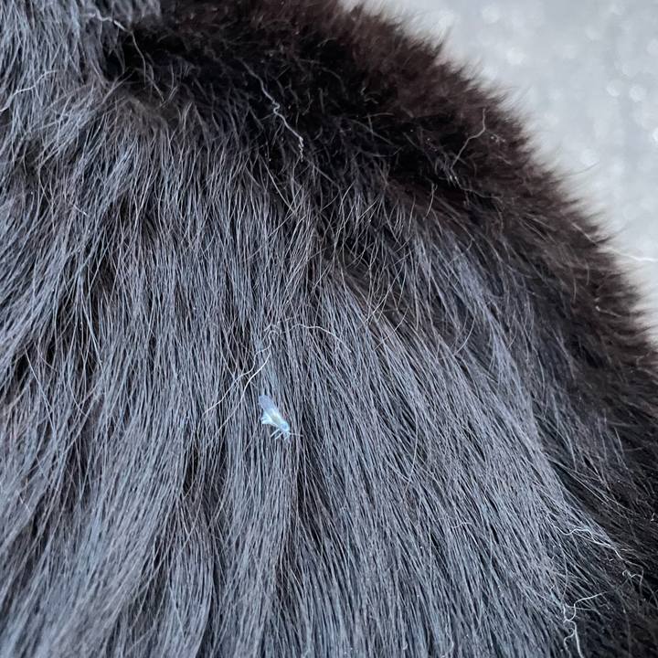 C226103c 9850 4be7 8269 d7526ed96e26 1760690194993