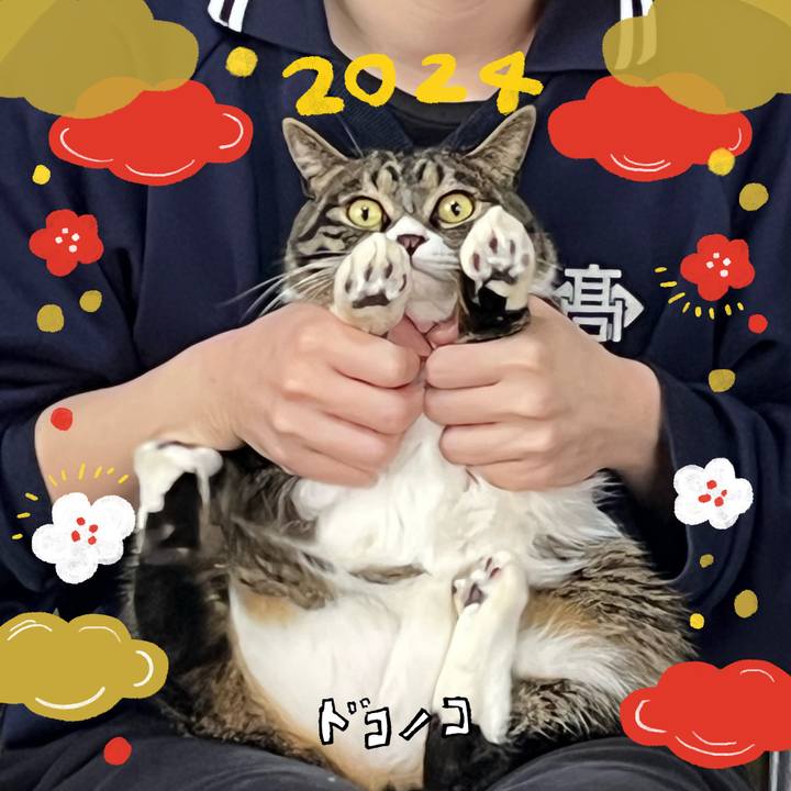 C22625da 15ac 4e26 ba49 79c557ba53bb 1704106741738