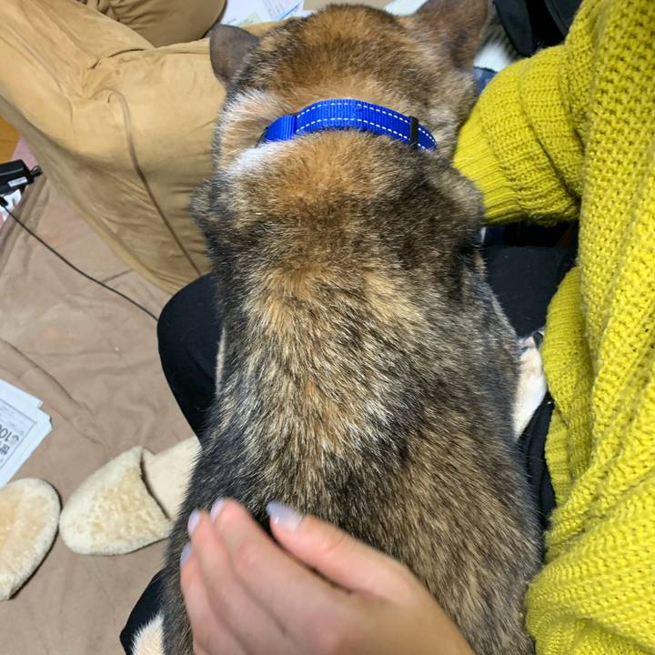 C226302b 2c6f 4637 8d7f b35b516c5725 1573493625832