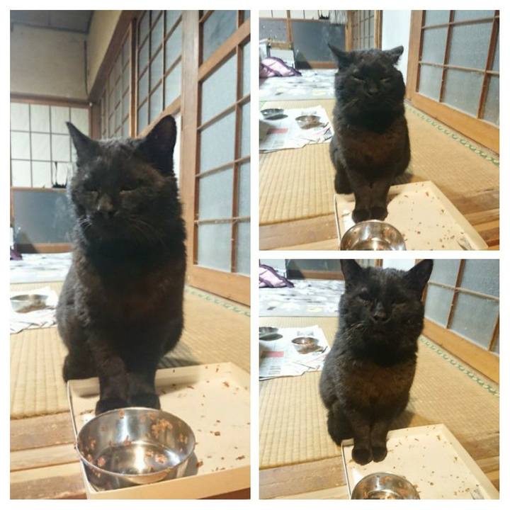 C2264e0c 48fe 4896 93e1 14f98228c73b 1619187131328