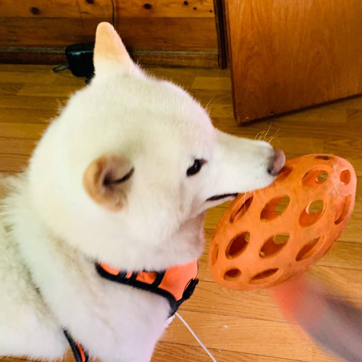 C2265be7 6402 4963 82a9 e7a1dcf3e8f7 1620333222265