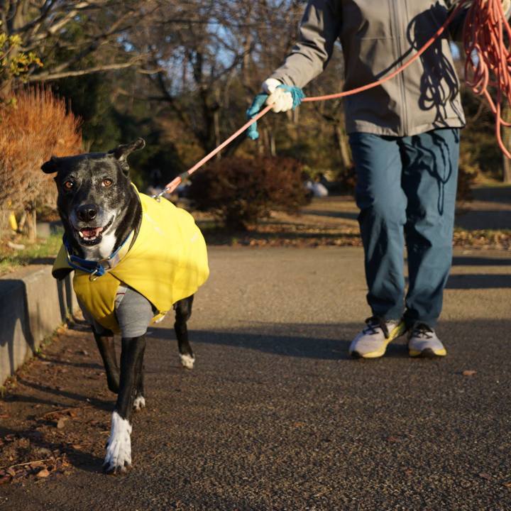 C226781d a09e 4e63 99a7 51b00a7e33b1 1768350003545