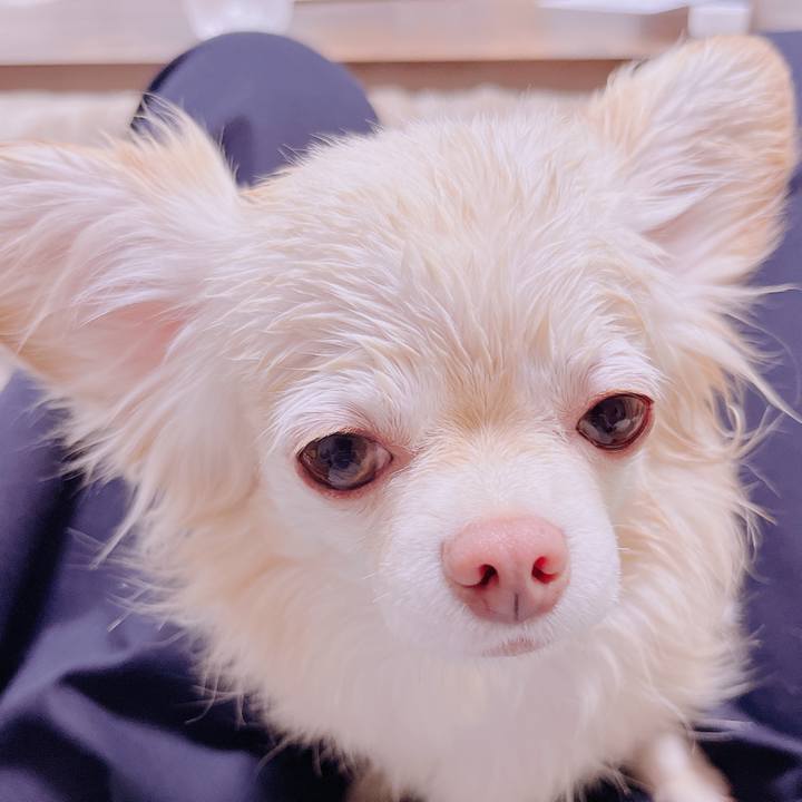 C226efe0 f66d 4a8f 9da0 e58736e3830e 1679996735867