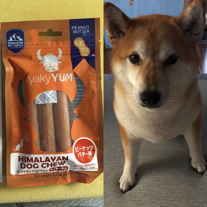 C226fb75 9eed 44f0 b733 b643c4cd527b 1598594259087