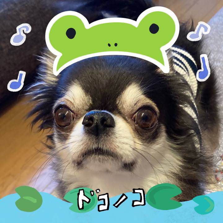 C226fee2 3552 4f17 ac10 35dae55b01bd 1717804605855