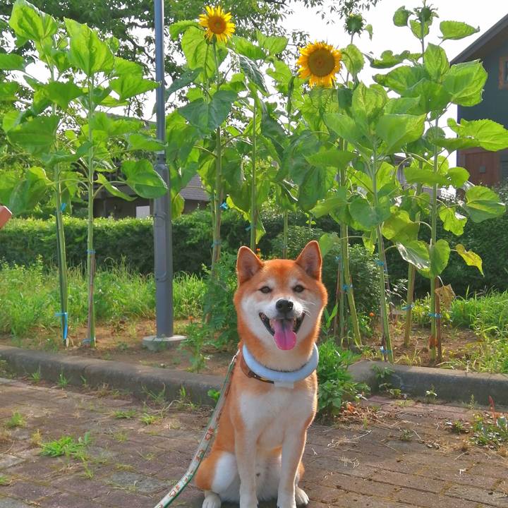 C22736da ed62 4523 ba25 3123b6d9ca9d 1656820279324