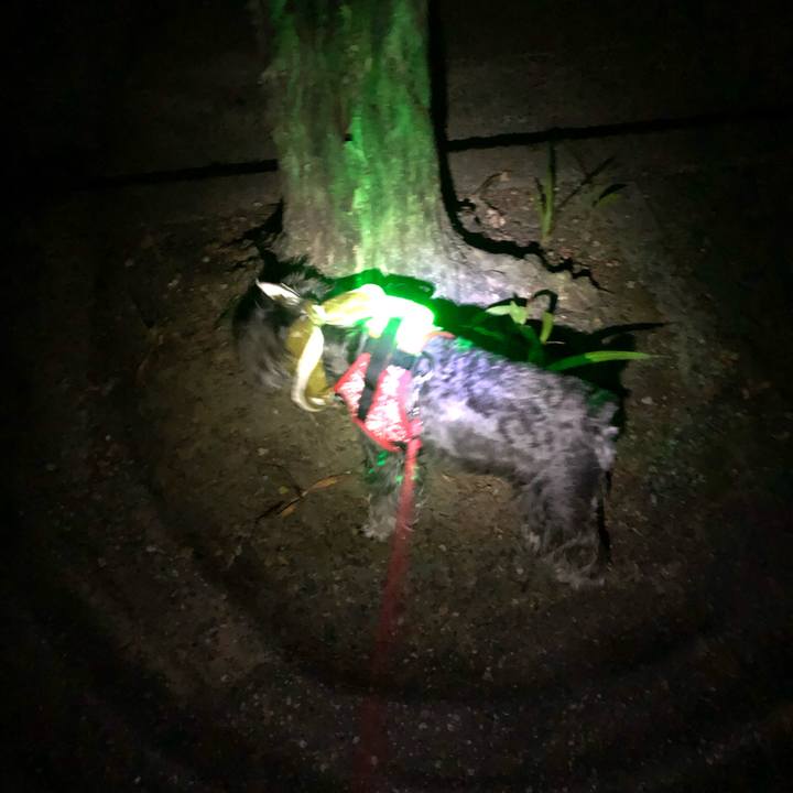 C227841d d83b 43e7 8abf 4ab5cd492438 1565873223683