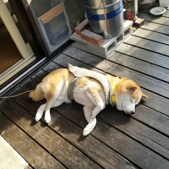 C2281e9d 91ef 49bc a28c 43b6d92d2959 1680562878385