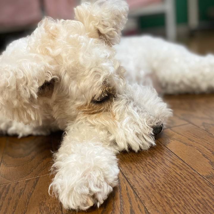 C2282242 86d6 4320 a643 615178315812 1592550712714