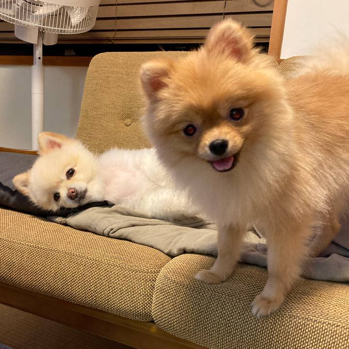 C228532c 9d83 40ef a4b8 5e1280b25b5e 1660993405856