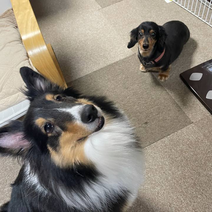 C228622c 22d4 4c89 9bda d773ef17bc07 1608760357027