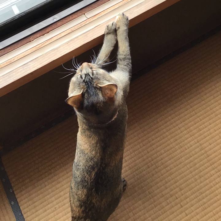 C228ece4 06ab 47e6 b257 4f3af9eba7ce 1616635163936