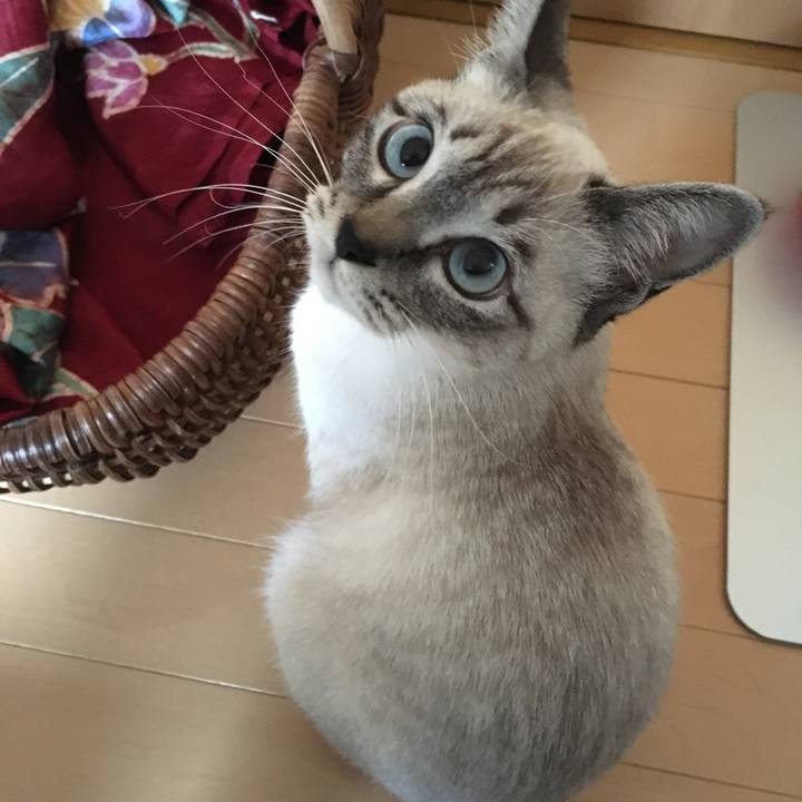 C228fe55 909e 47fe a844 f26fe0b3d6e0 1546650129729