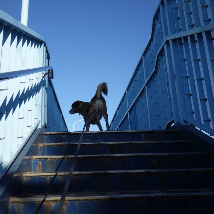 C22907ba b22c 4526 b61c ed4c6a026b1d 1657065223942