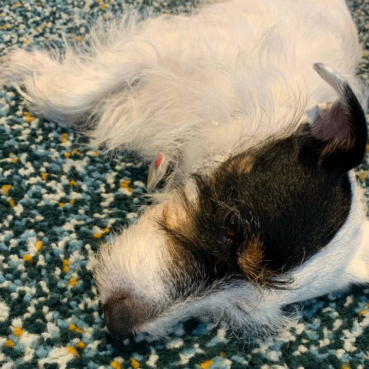 C229296e dd10 418a 82d1 cf6033d0b410 1634098010586