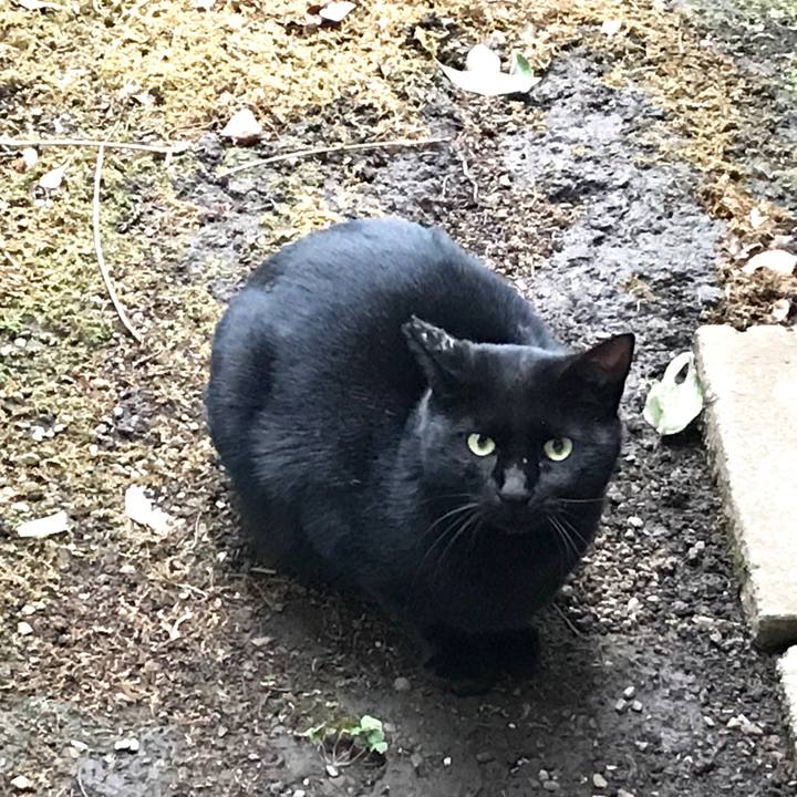 C2292fd9 8458 44d0 b459 625489637b21 1508919303753