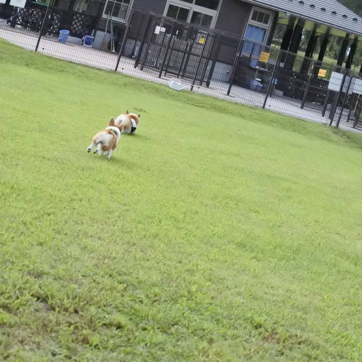 C22945fb f017 4a27 8c5e 0d9468a42d4e 1537108491666