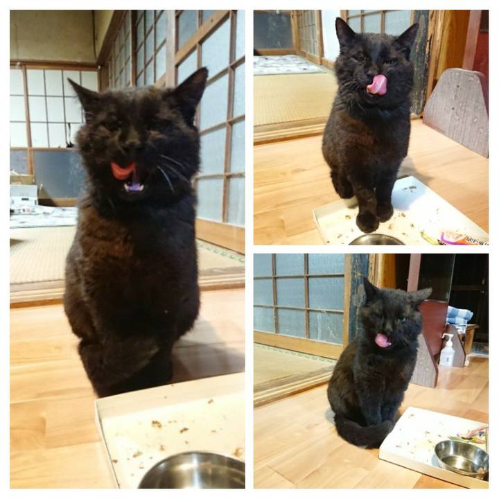 C22964ad 4a23 47b7 9432 02c59e9e904c 1620831915251